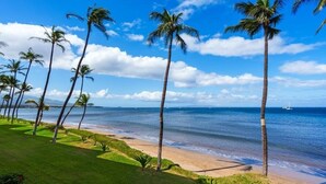 A beach with palm trees and a clear sky. - Sugar Beach Resort, #235 1 Bedroom Condo by RedAwning (Kihei)