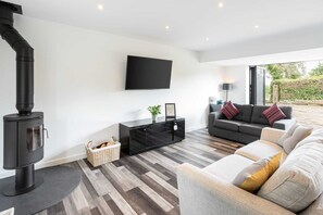 TV, fireplace, offices