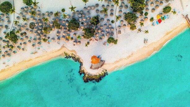 Vista aérea de una playa con numerosas sombrillas y palmeras.