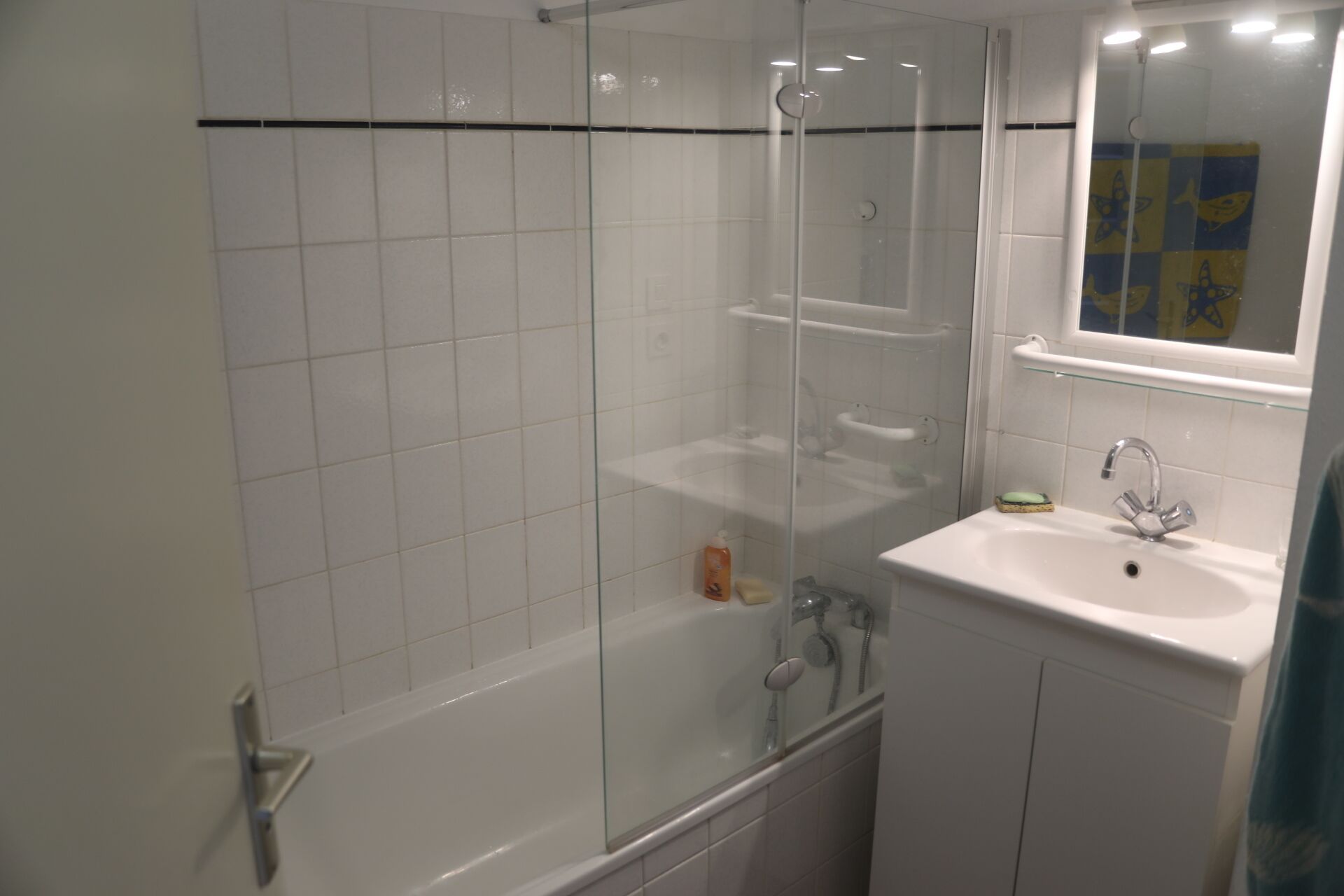 Une salle de bain avec une douche à parois de verre, un lavabo blanc et un miroir au-dessus du lavabo.