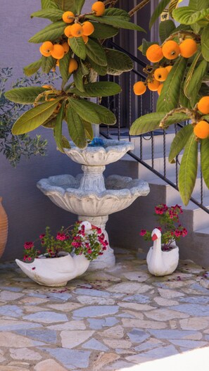 Exterior - Kalpazo Kaja Vila Garden (Golem)