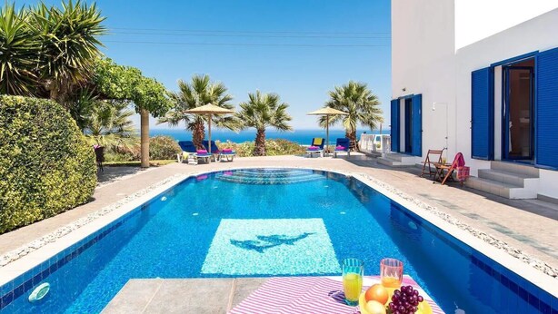 A swimming pool with a dolphin design, surrounded by palm trees and lounge chairs, with a view of the sea.