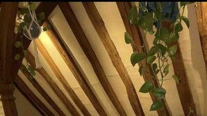 A cozy living room with a sofa, a coffee table with candles, and a hanging plant. - Beautiful Haven Retreat in Sandwich (Sandwich)