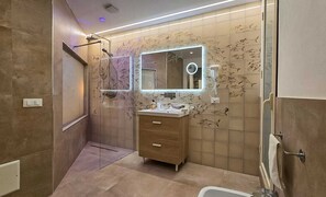 Shower, hair dryer, bidet, towels