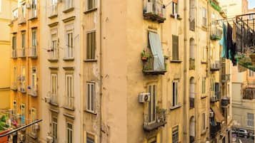 Detalle del exterior