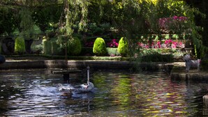 A serene garden with a pond, swan, and statue. - HOTEL QUINTA KRYSTAL BOUTIQUE (Sangolqui)