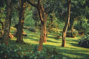 Jardines del alojamiento