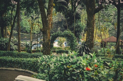 Bungalow with Swimming Pool in Nature