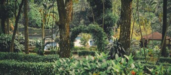 Bungalow with Swimming Pool in Nature