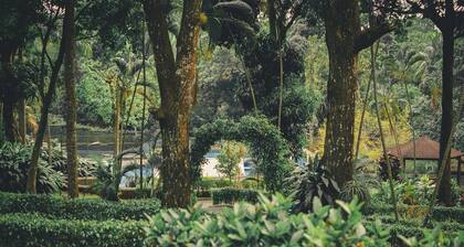 Bungalow with Swimming Pool in Nature