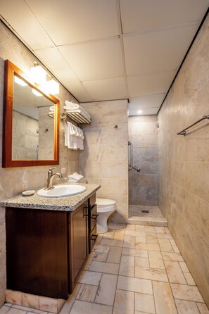 A modern bathroom with a granite countertop sink, a large mirror, a toilet, and a shower area. - Paradise Beach Villas (Oranjestad)