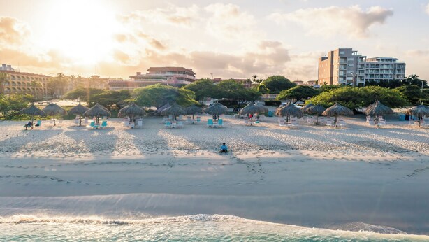 A beach with thatched umbrellas and lounge chairs, a clear sky, and buildings in the background. - Paradise Beach Villas (Oranjestad)