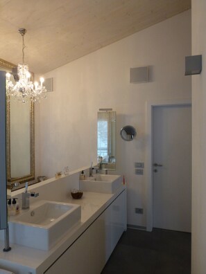 Shower, hair dryer, bidet, towels