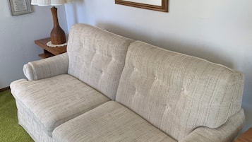 Smart TV, DVD player, video library, printers