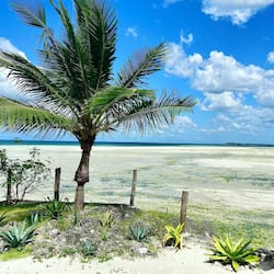 Private beach, white sand, sun-loungers, beach umbrellas