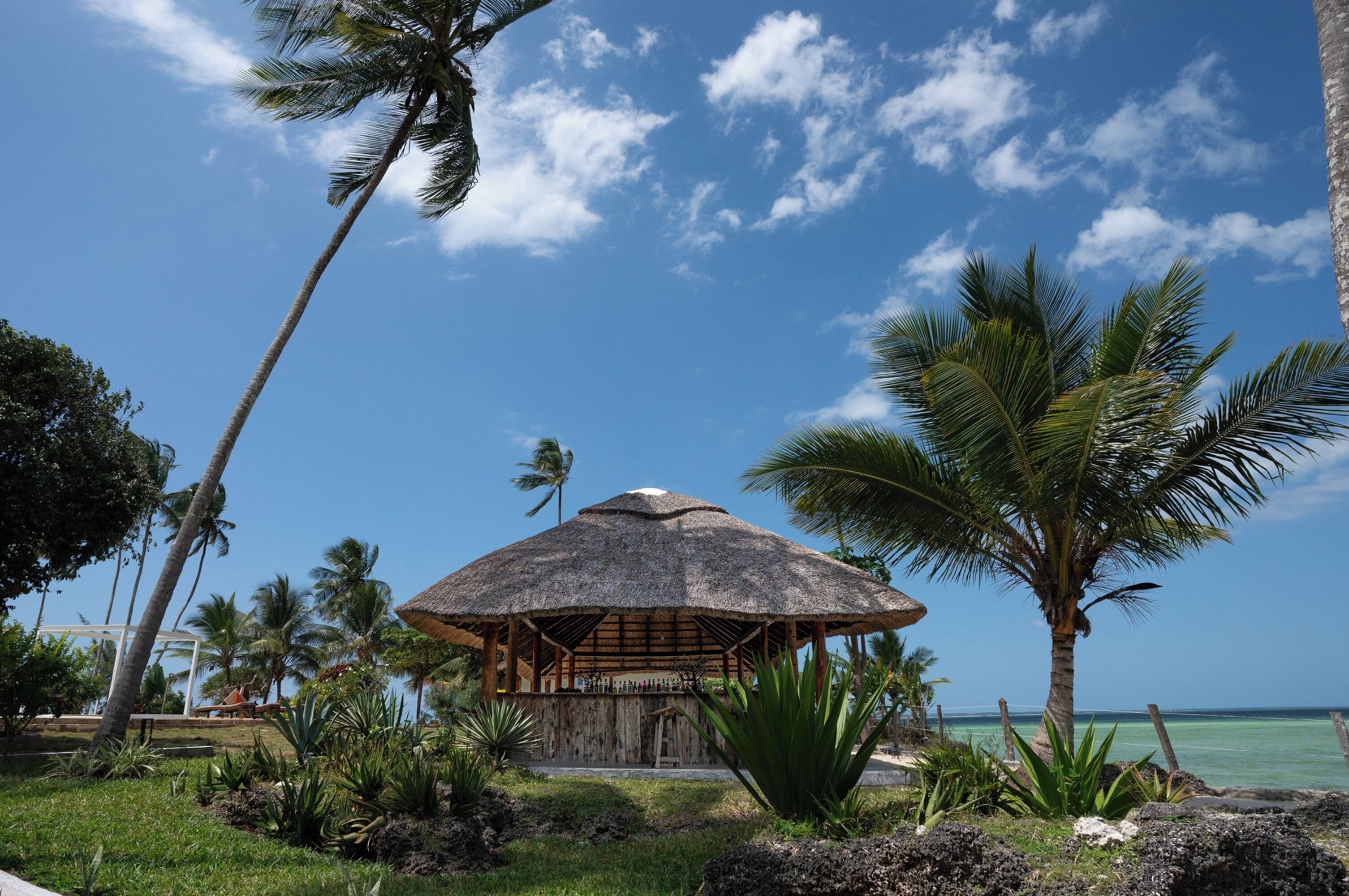 Una cabaña con techo de paja y estructura de madera, rodeada de vegetación tropical y palmeras, con vistas a un mar azul cristalino.