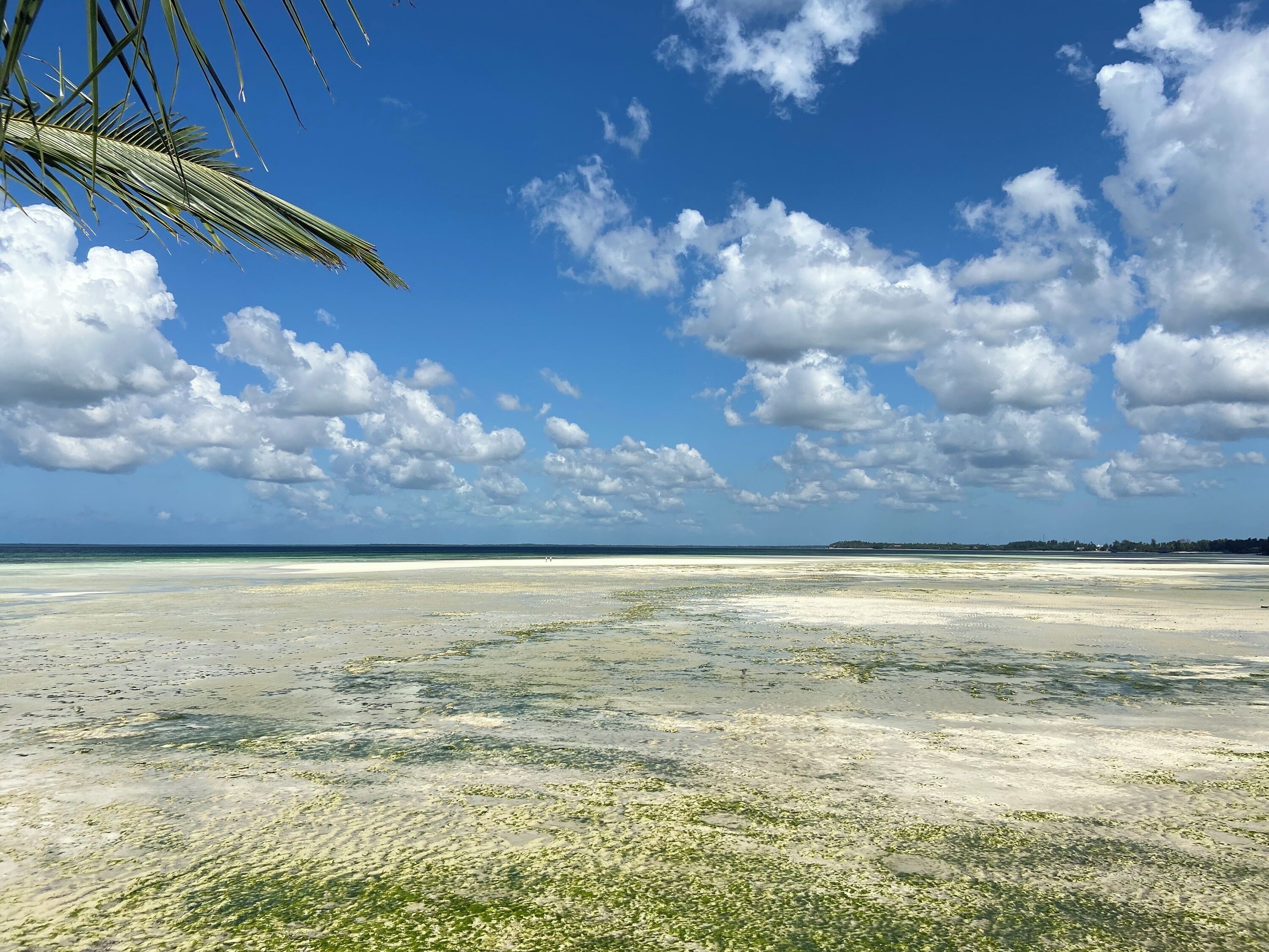 Una playa con cielos despejados y algunas nubes.
