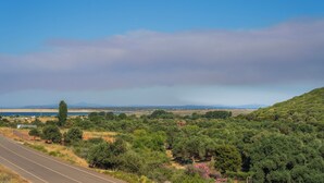 Eine Straße mit Blick auf eine hügelige Landschaft, Bäume und ein weiter See.