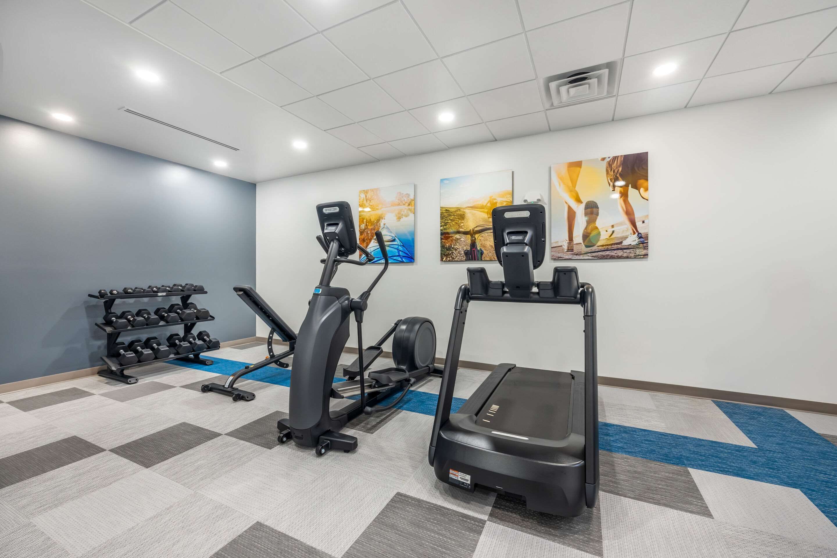 A gym with treadmills, elliptical machines, and a rack of dumbbells.