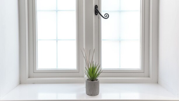 A white window with a black door handle and a small potted plant on the sill. - Cosy 2-bed Apartment in Nettleham (Lincoln)