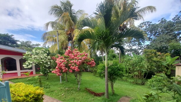 A lush garden with palm trees, flowering plants, and a pathway leading to a building with a red facade.