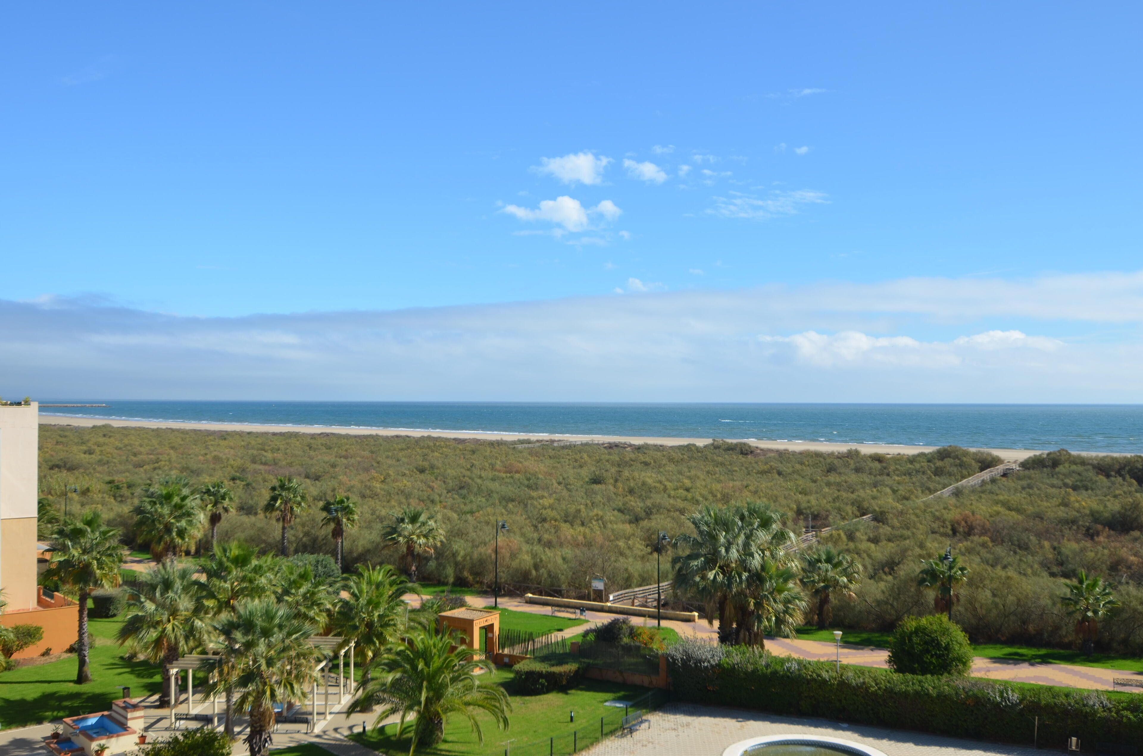 A coastal view with a beach, palm trees, and a clear sky.