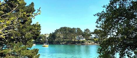 Ranta