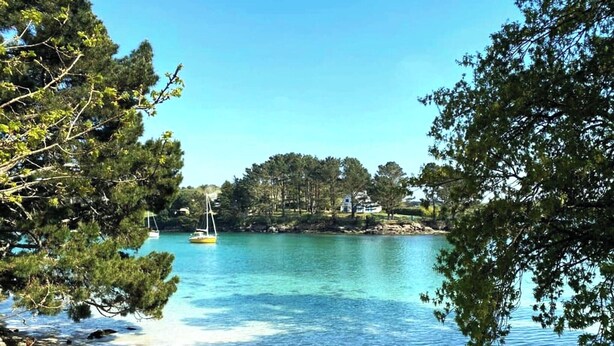 Un lago tranquilo con aguas cristalinas, rodeado de árboles frondosos y una pequeña isla con una casa.