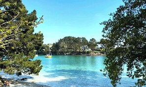 Un lac paisible aux eaux limpides, bordé d’une forêt dense et abritant une petite île sur laquelle se trouve une maison.