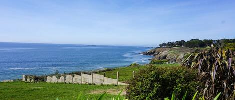 A coastal landscape with a clear view of the ocean, a grassy area, and a concrete barrier.