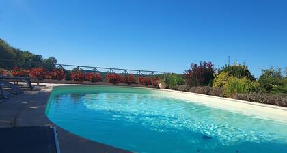 Magnificent country house