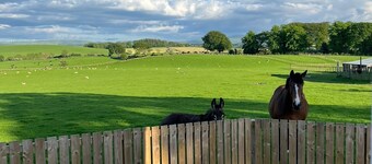 Wee Shepherds Hut Maybole
Try country living for your next short break. 