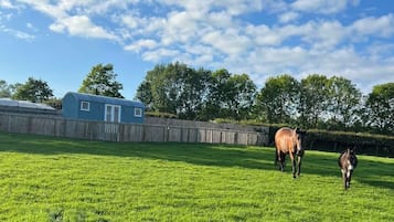 المنطقة المحيطة بالمنشأة