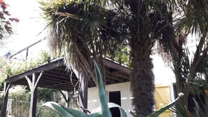 Un espace extérieur abrité, doté d’une structure en bois, d’un palmier et d’une grande plante d’aloès.