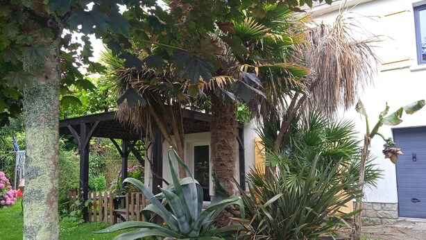 Un jardin avec différentes espèces de plantes, une pergola en bois et un bâtiment avec une porte bleue.