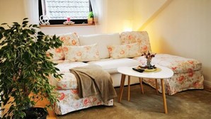 Un salon chaleureux avec un canapé à motifs floraux, une petite table ronde et une plante en pot.
