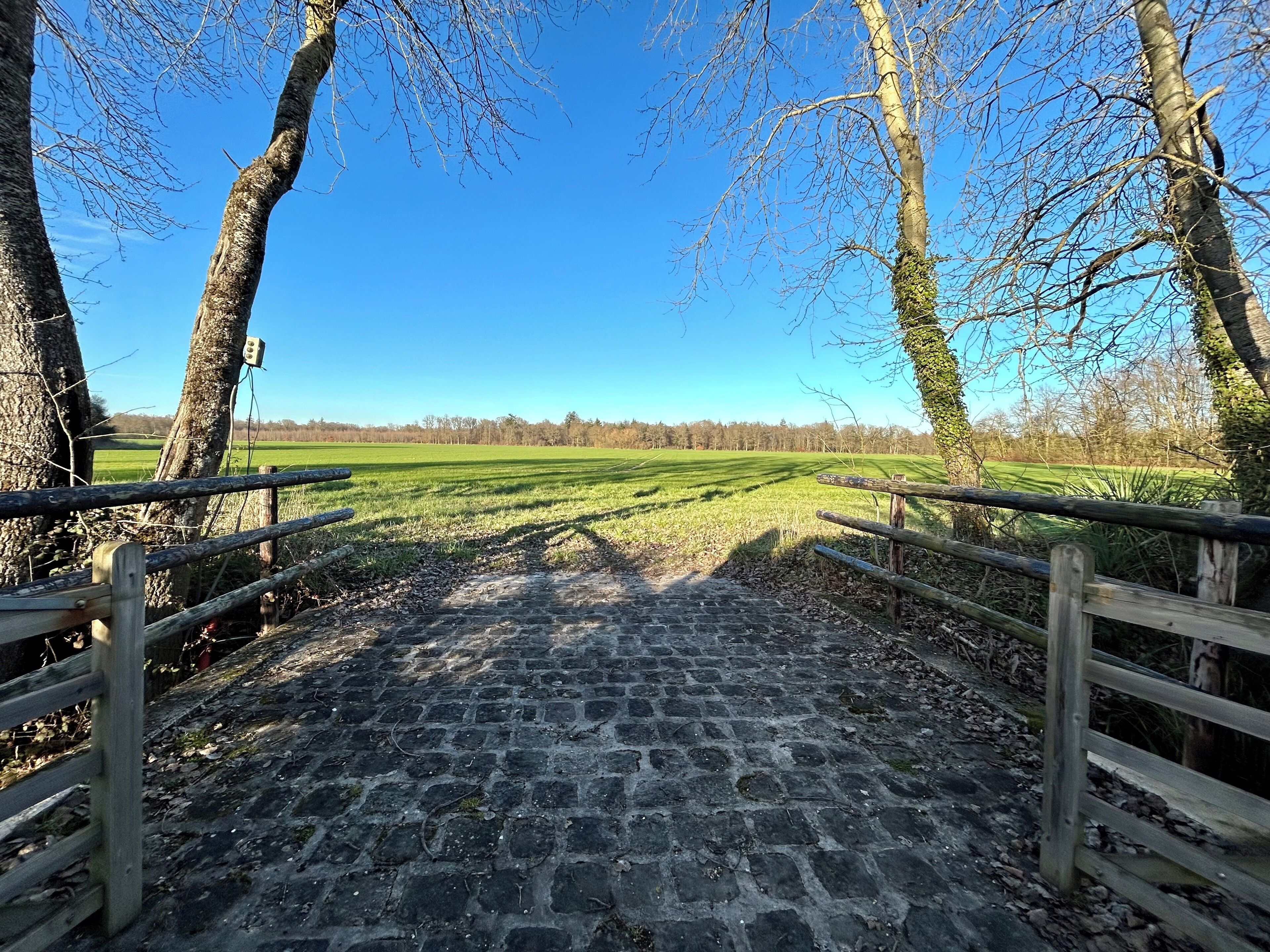 Un sendero adoquinado que lleva a un paisaje rural bajo un cielo despejado.