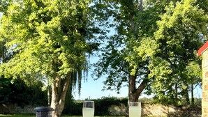 Boblebad med to glas med en klar væske, omgivet af frodige grønne træer og en stenvæg.