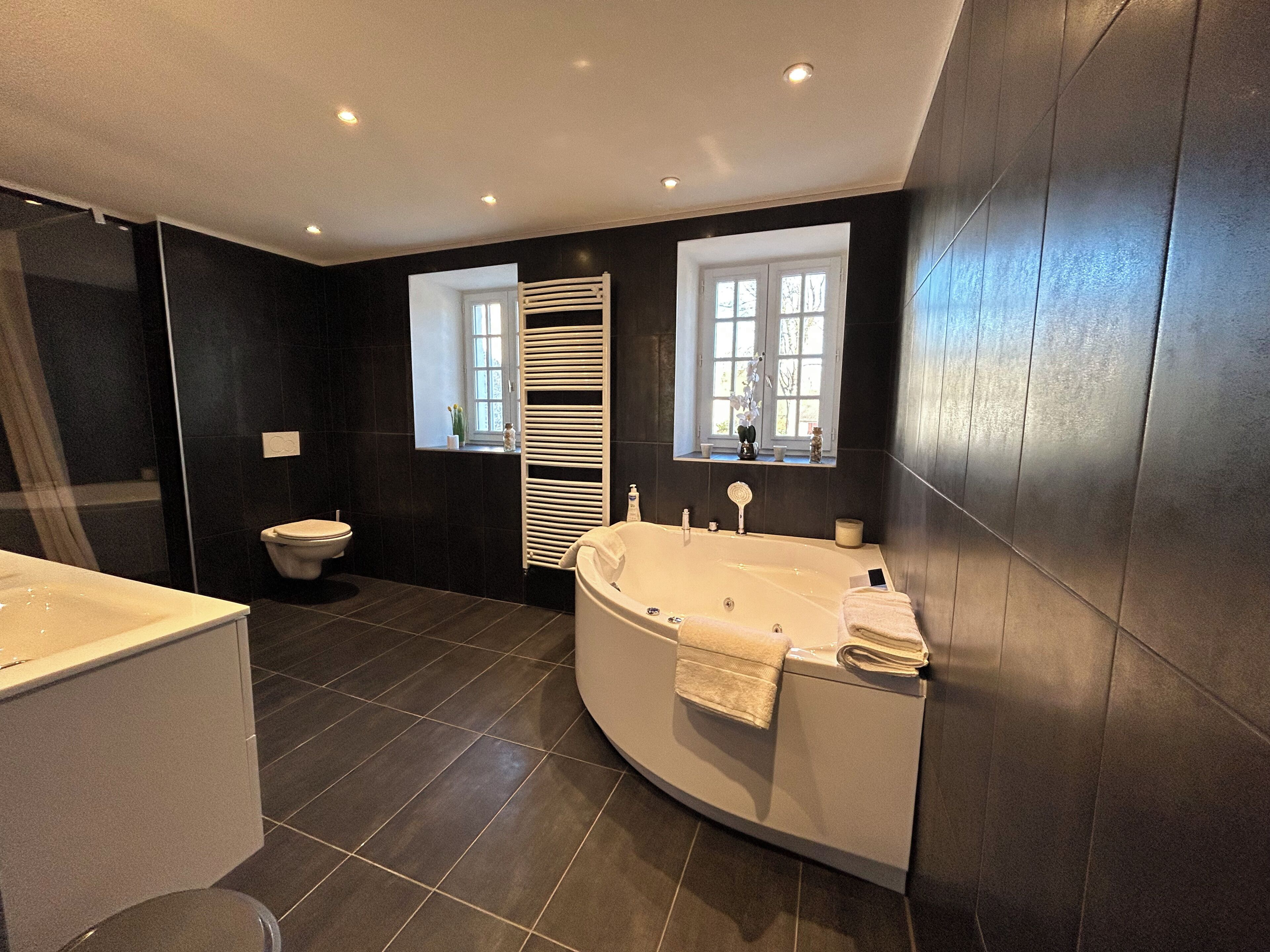 Dusche, Whirlpool, Haartrockner, Handtücher