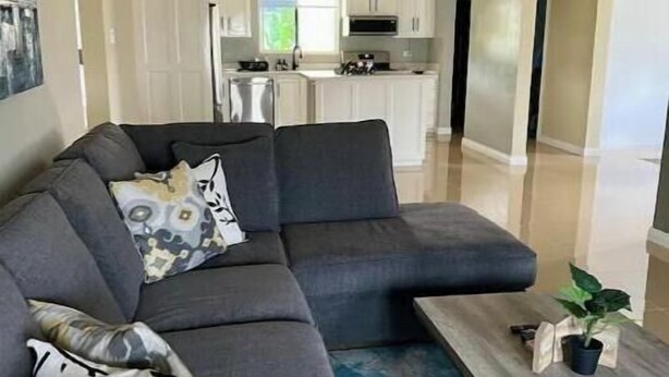 A modern living room with a grey sectional sofa, a wooden coffee table, and a small potted plant. - The Unico Vacation Villa (st Ann)