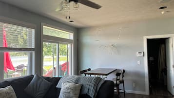 Smart TV, fireplace, books