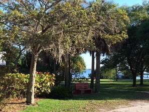 A park with a bench, trees, and a body of water in the background. - Waterfront Gulfport Studio w/Shared Private Beach + Walk to Beach & Dining (Gulfport)