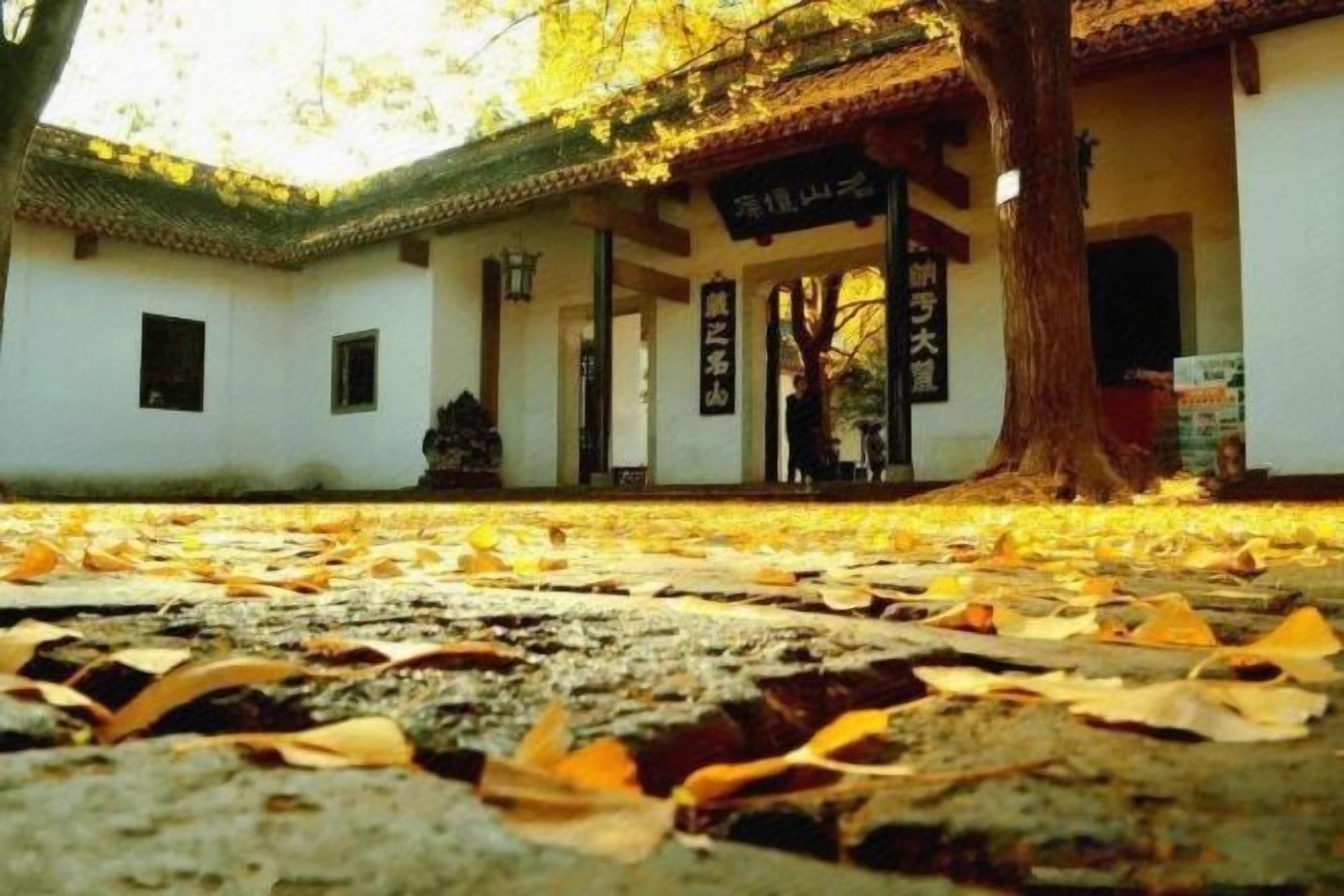 Un edificio tradicional con techo de tejas, un camino de piedra y un árbol en primer plano.