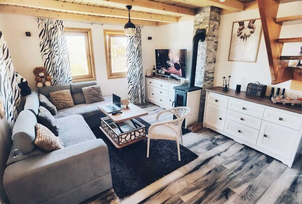 Smart TV, fireplace, DVD player, music library