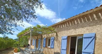 Villa with pool in Provence in Cotignac elected most beautiful village in France
