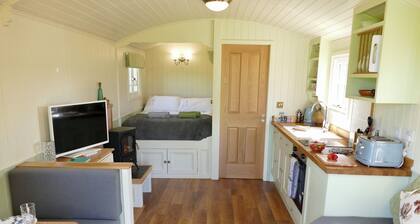 Romantic Shepherd's Hut with hot tub. Ultimate Dark Skies experience.