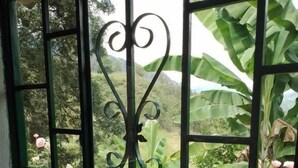A window with decorative iron bars and a view of a garden with banana plants and pink flowers. - Finca Umnisa  Choachi (Choachí)