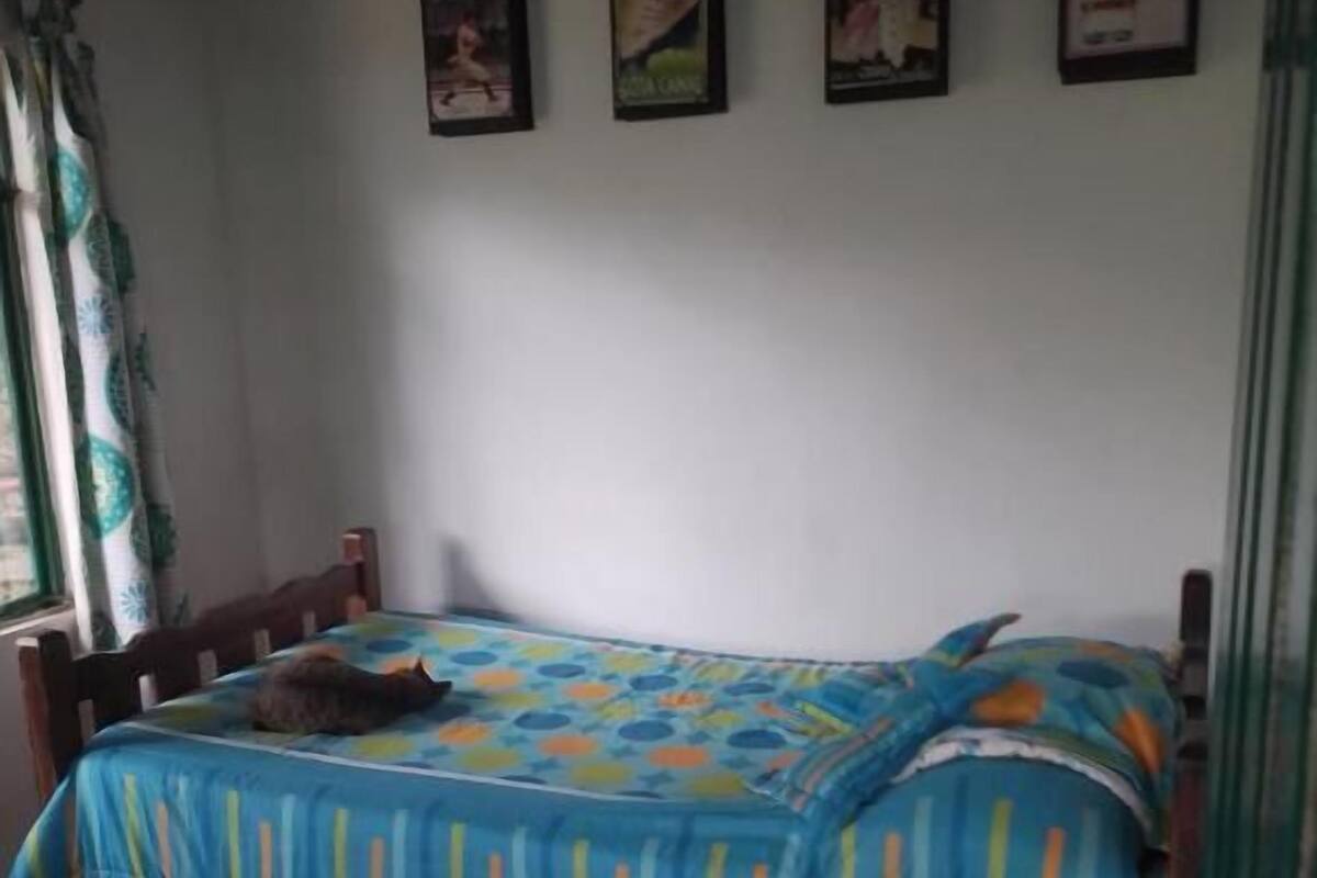 A room with a bed covered in a striped blue and yellow bedspread, a cat on the bed, and a window with curtains.