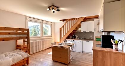 Le Nid des Vosges - Appt vue montagne
