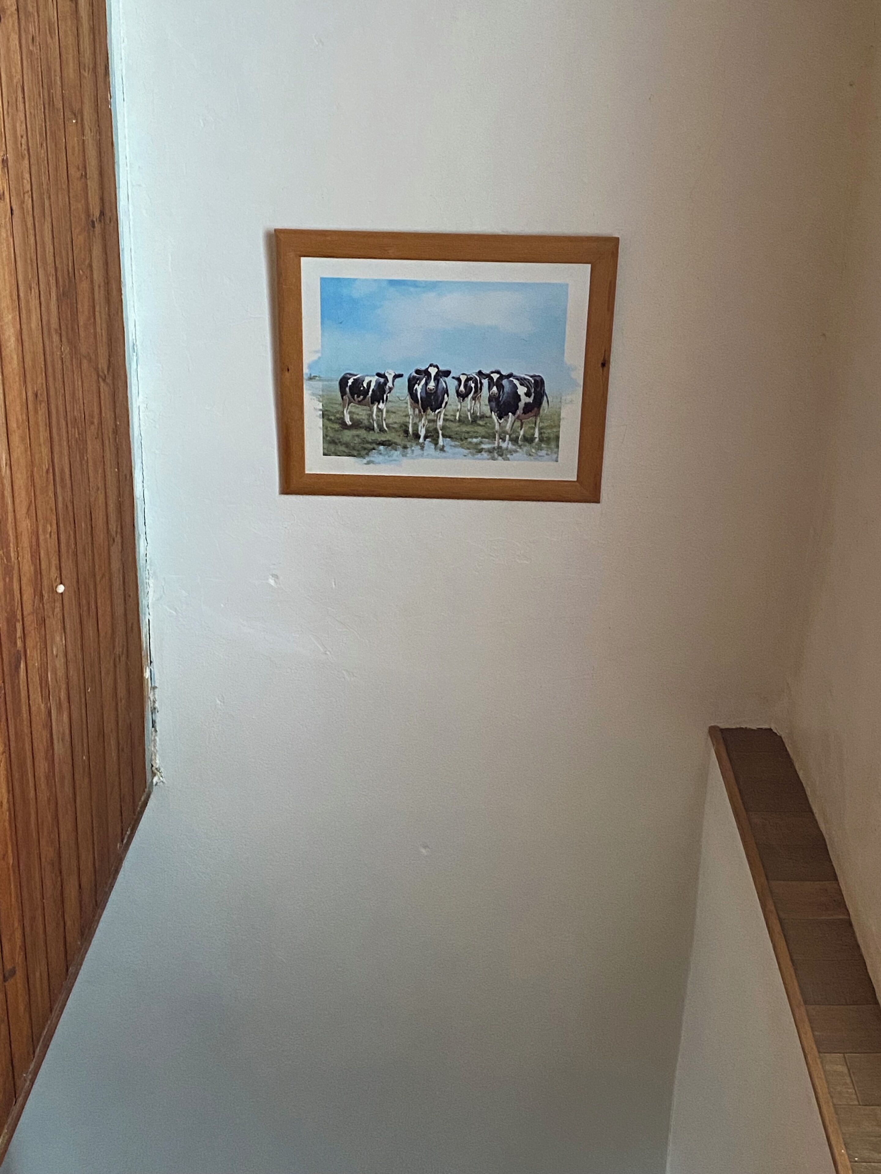 A framed painting of three cows on a wall.